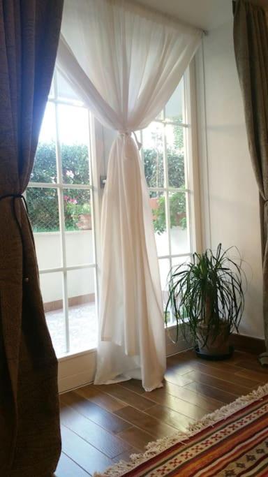 דירות Cristina'S Flat ריצ'יונה מראה חיצוני תמונה